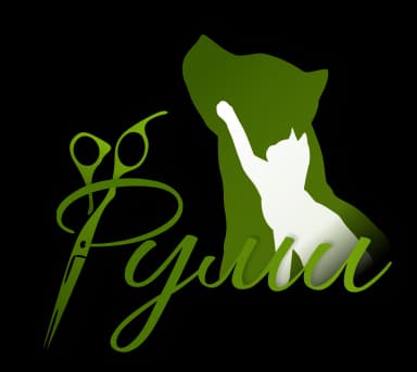 Rumi logo